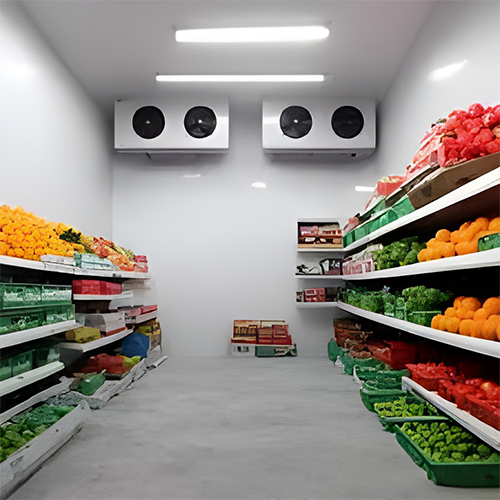 Vegetable Cold Room